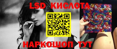 спиды Гатчина