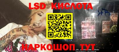 спиды Гатчина