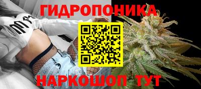 спиды Гатчина