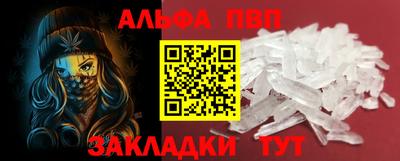 спиды Гатчина