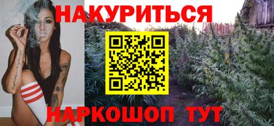 спиды Гатчина