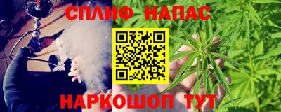 спиды Гатчина