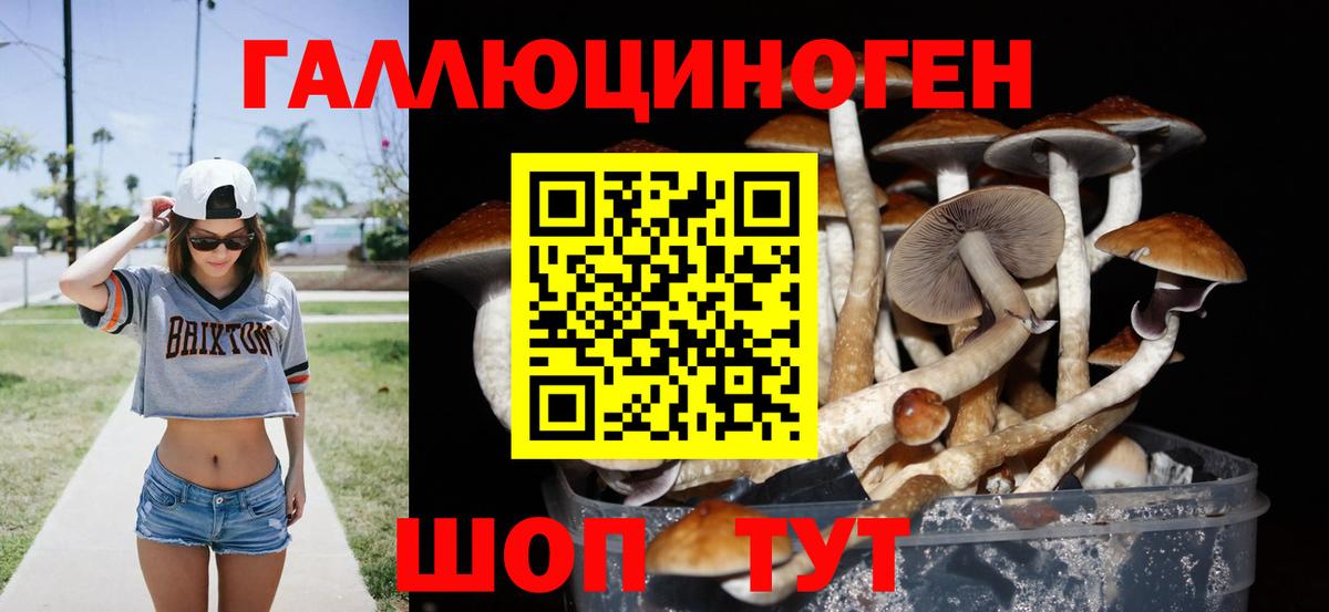 Псилоцибиновые грибы Psilocybine cubensis  Вход с VPN  магазин продажи   Буйнакск 